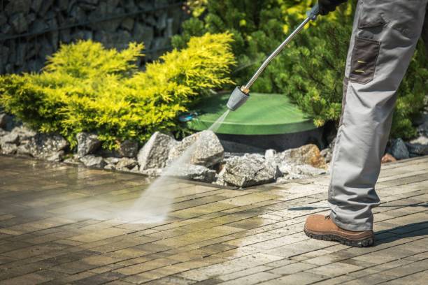 Best Solar Panel Cleaning  in Trevose, PA