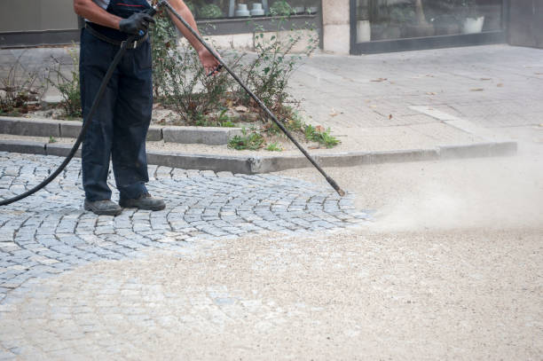 Animal Enclosure Cleaning in Trevose, PA